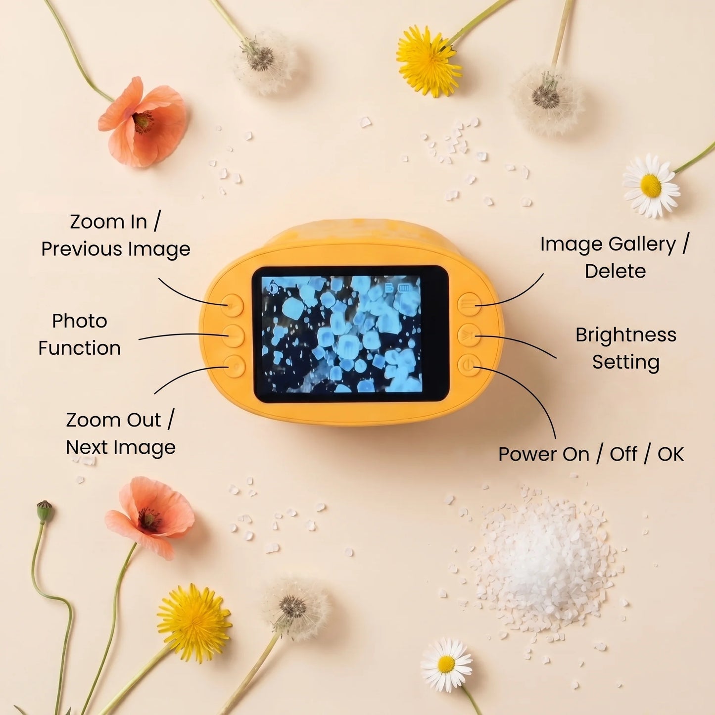 Wondly™ Explorer Microscope